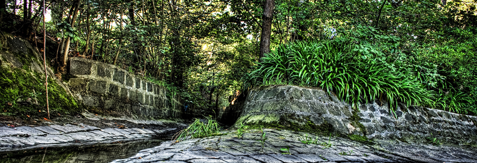 企业版全能的电话轰炸服务